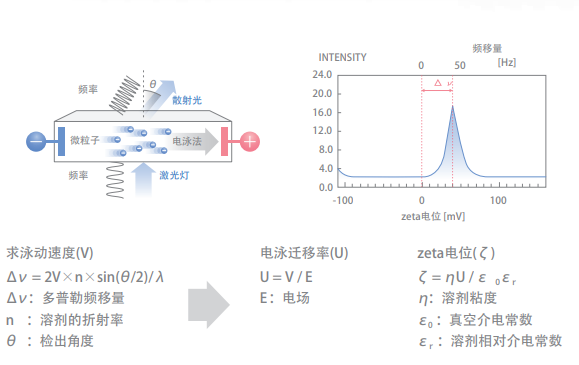 ZETA电位 · 粒径测试系统·ELSEneoSE