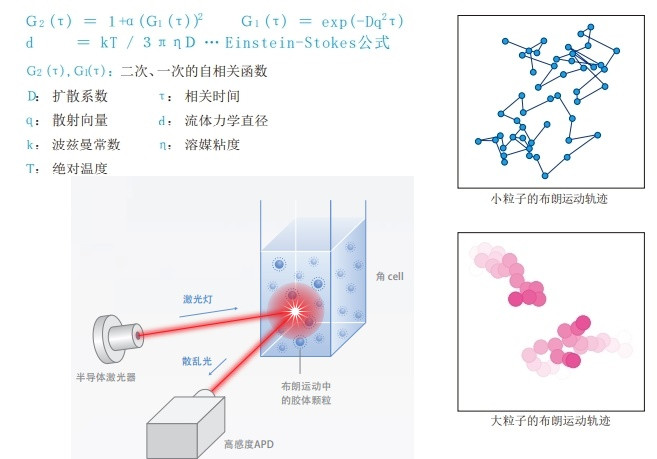 ZETA电位 · 粒径测试系统·ELSEneoSE