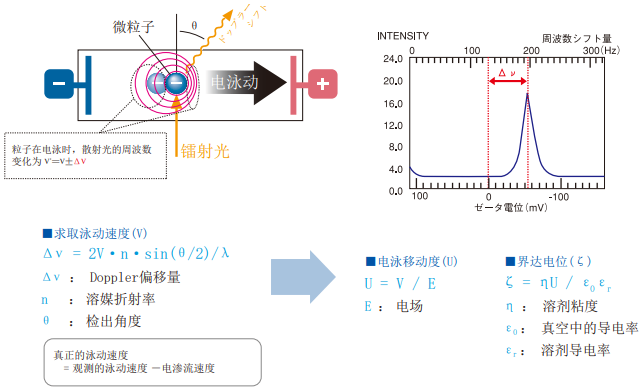 ZETA电位 · 粒径测试系统·ELSZneoSE
