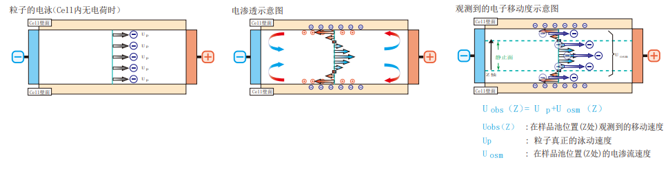 ZETA电位 · 粒径测试系统·ELSZneoSE