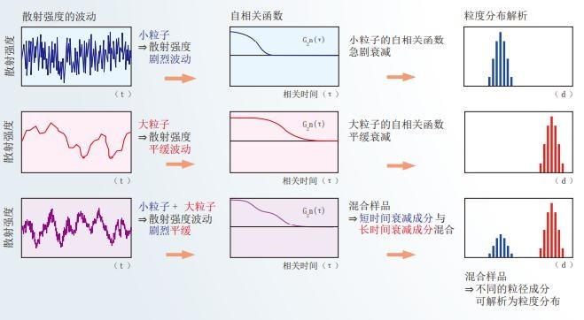 1685107118181738.jpg