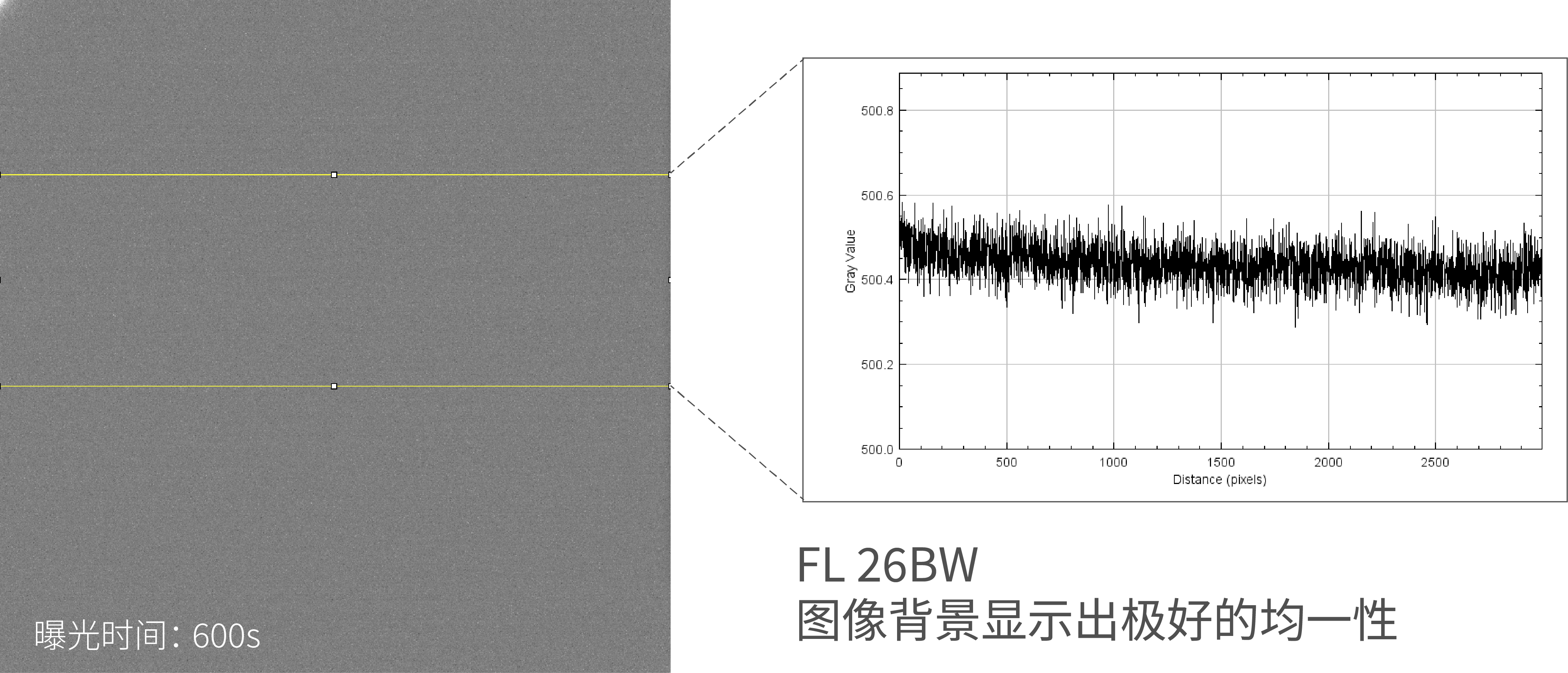 Background homogeneity for more accurate quantitative analysis