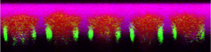 alpha300R 3D semiconductor depth scan
